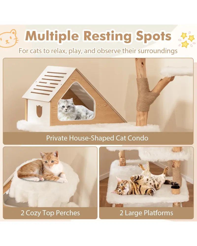 60 Inch Tall Solid Wood Cat Tree Modern Wooden Cat Tower with 2 Perches-White - White - Cat Trees Condos & Scratchers