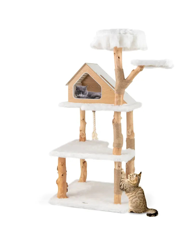 60 Inch Tall Solid Wood Cat Tree Modern Wooden Cat Tower with 2 Perches-White - White - Cat Trees Condos & Scratchers