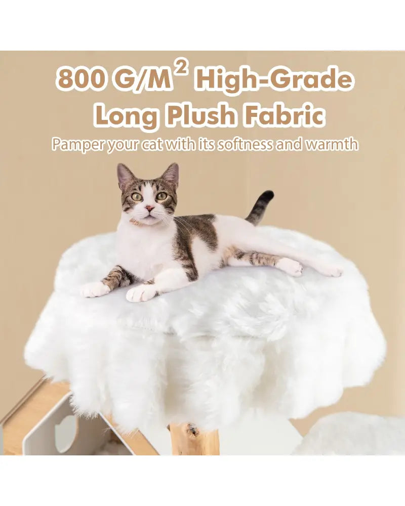 60 Inch Tall Solid Wood Cat Tree Modern Wooden Cat Tower with 2 Perches-White - White - Cat Trees Condos & Scratchers