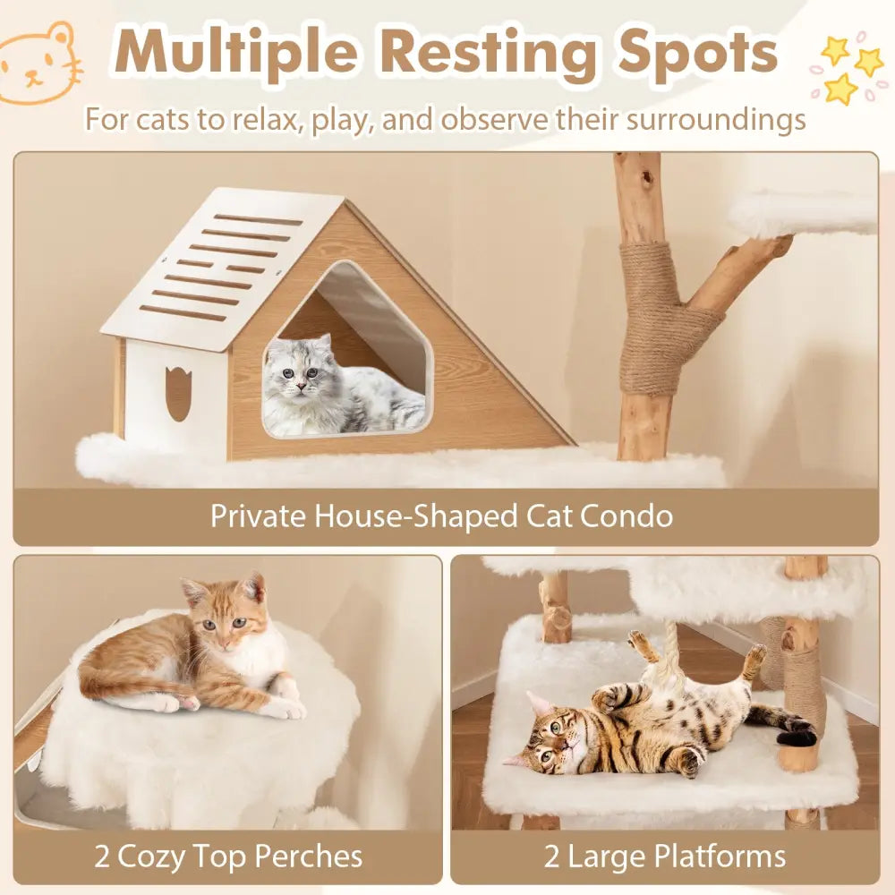 60 Inch Tall Solid Wood Cat Tree Modern Wooden Cat Tower with 2 Perches-White - White - Cat Trees Condos & Scratchers