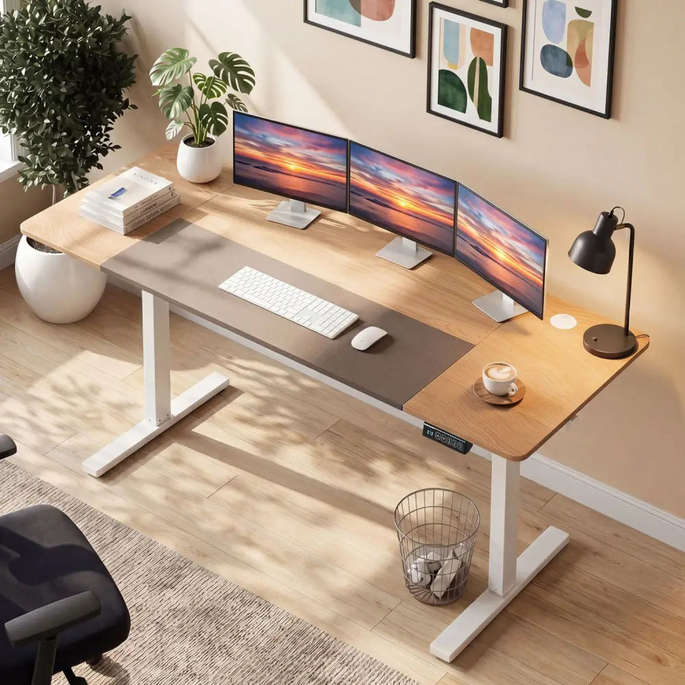 63 x 24 Inch Height Adjustable Sit Stand Computer Desk with 3 Memory Presets-Natural - Natural & White - Computer Desks