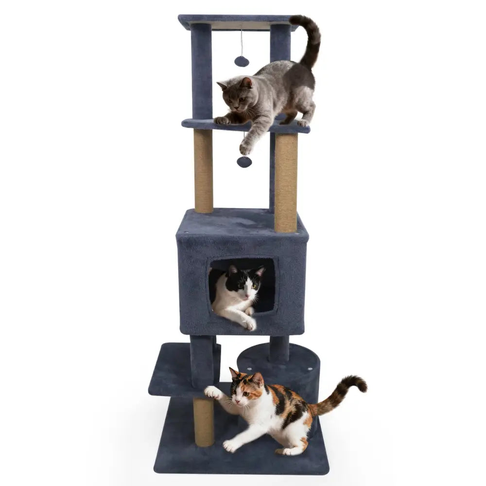 64 Inch Tall Cat Tree with 2 Large Condos and Jute Scratching Posts for Indoor Adult Cats-Dark Grey - Dark Gray - Cat