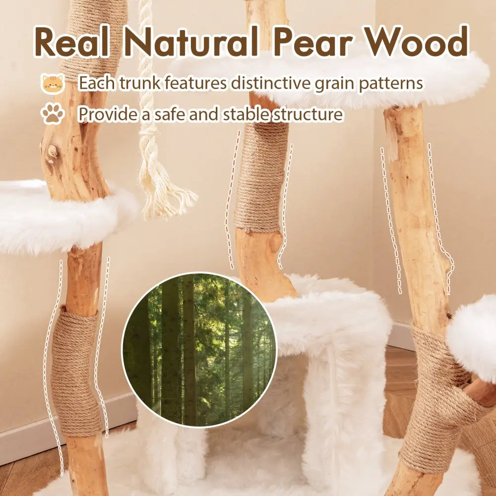 66 Inch Tall Solid Wood Cat Tree Modern Wooden Cat Tower with Perch-White - White - Cat Trees Condos & Scratchers