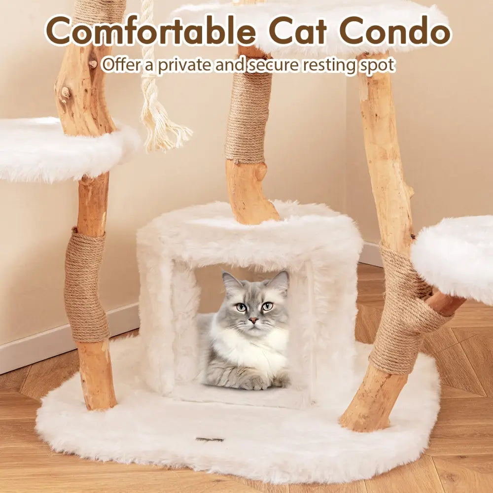 66 Inch Tall Solid Wood Cat Tree Modern Wooden Cat Tower with Perch-White - White - Cat Trees Condos & Scratchers