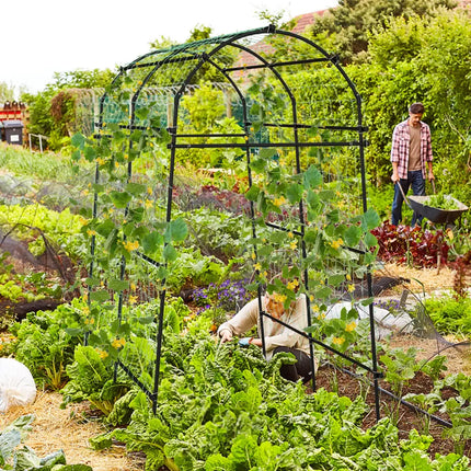 7.5 Feet Garden Arch Trellis with PE Coated Metal Structure - Black - Plant Supports
