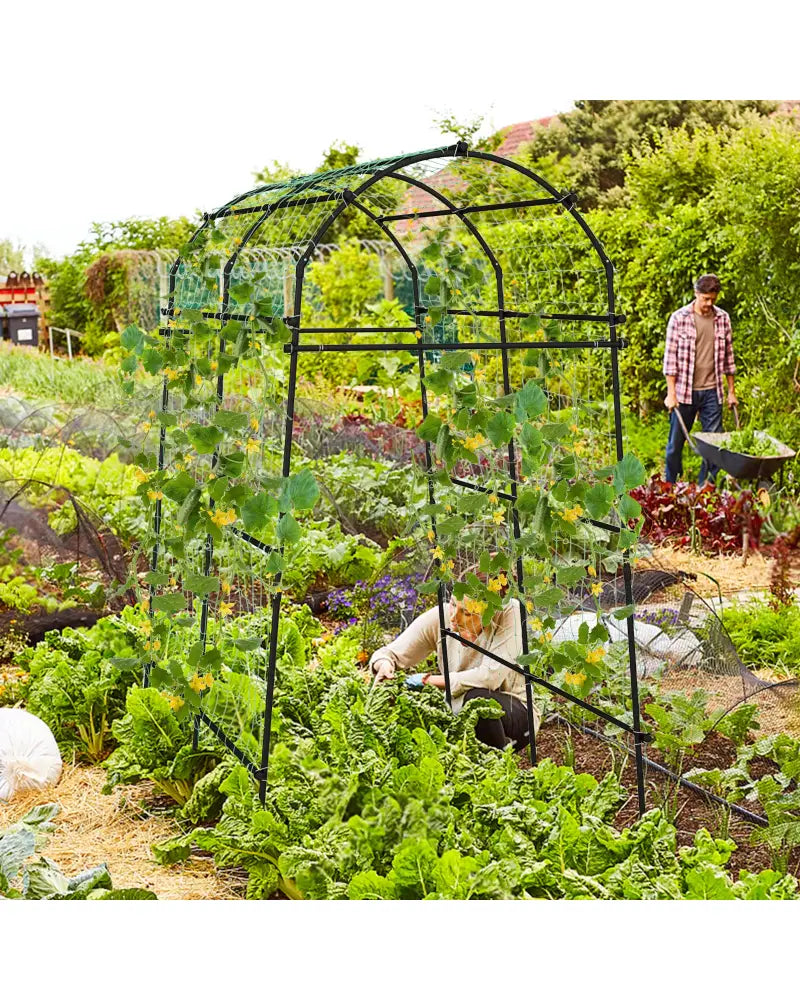 7.5 Feet Garden Arch Trellis with PE Coated Metal Structure - Black - Plant Supports