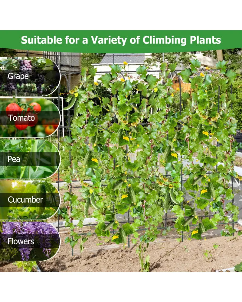 71 x 71 Inch U-Shaped Tall Garden Arched Trellis for Climbing Plants - Plant Supports