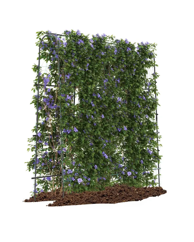 71 x 71 Inch U-Shaped Tall Garden Arched Trellis for Climbing Plants - Plant Supports