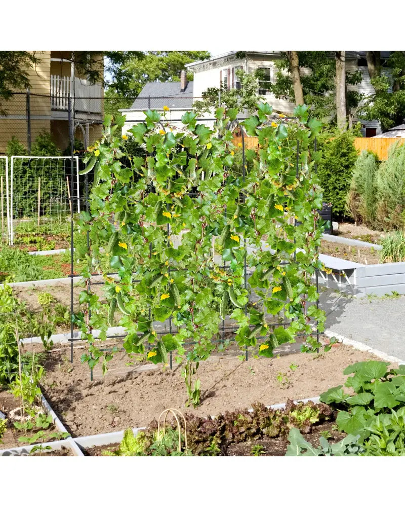71 x 71 Inch U-Shaped Tall Garden Arched Trellis for Climbing Plants - Plant Supports