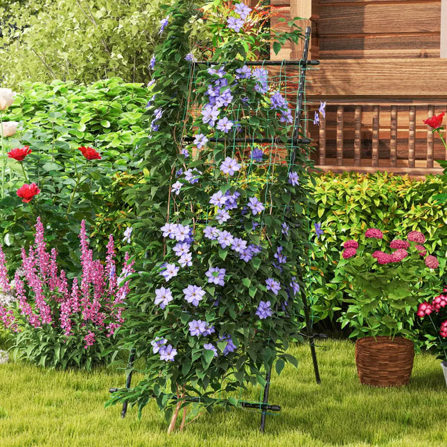 74 Inch Tall Garden Trellis for Flower Vine Vegetable Fruit Pea-Black - Black - Plant Supports