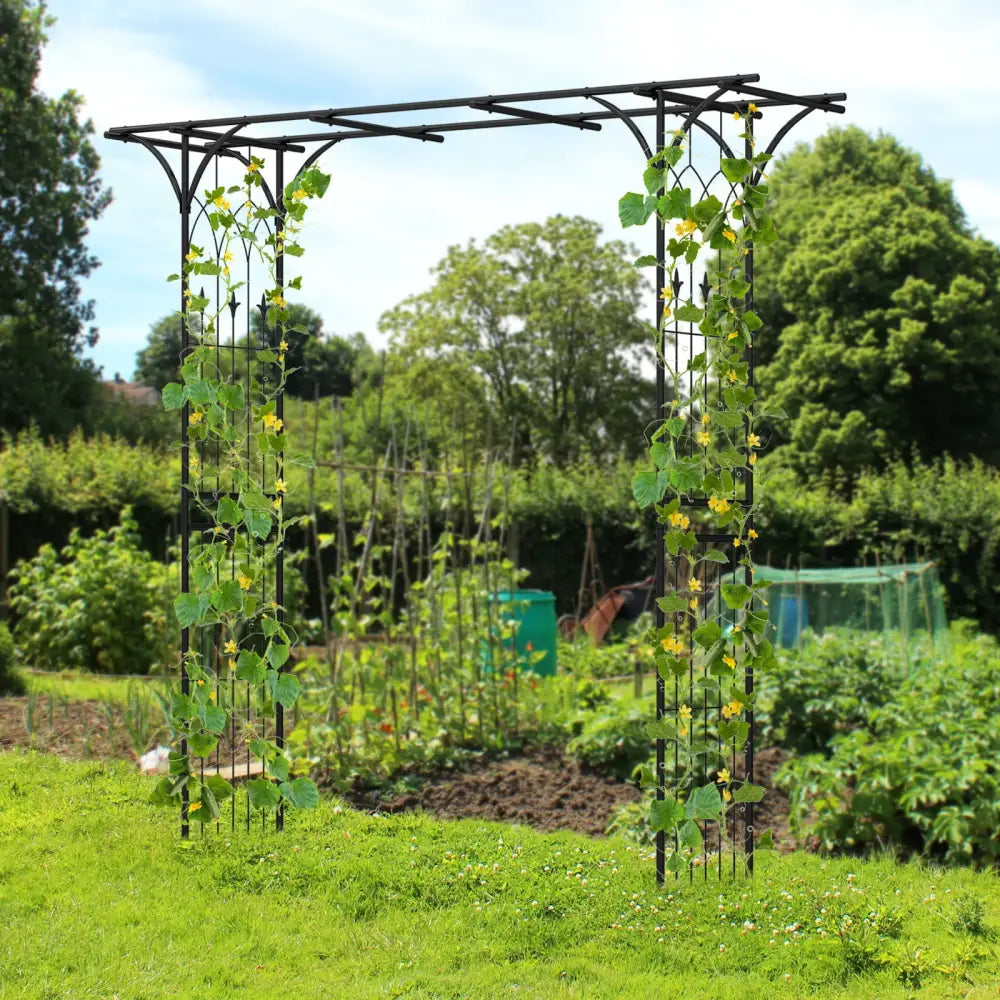81 x 20 Inch Metal Garden Arch for Various Climbing Plant - Black - GardenÂ Arbors