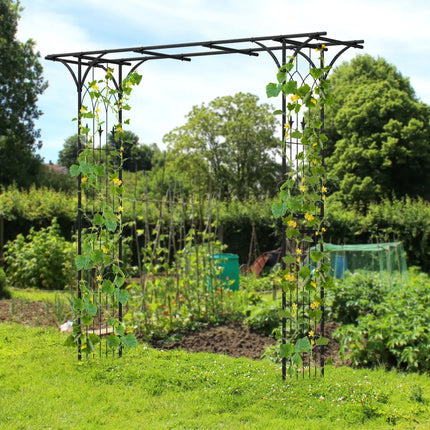 81 x 20 Inch Metal Garden Arch for Various Climbing Plant - Black - Outdoor Decor