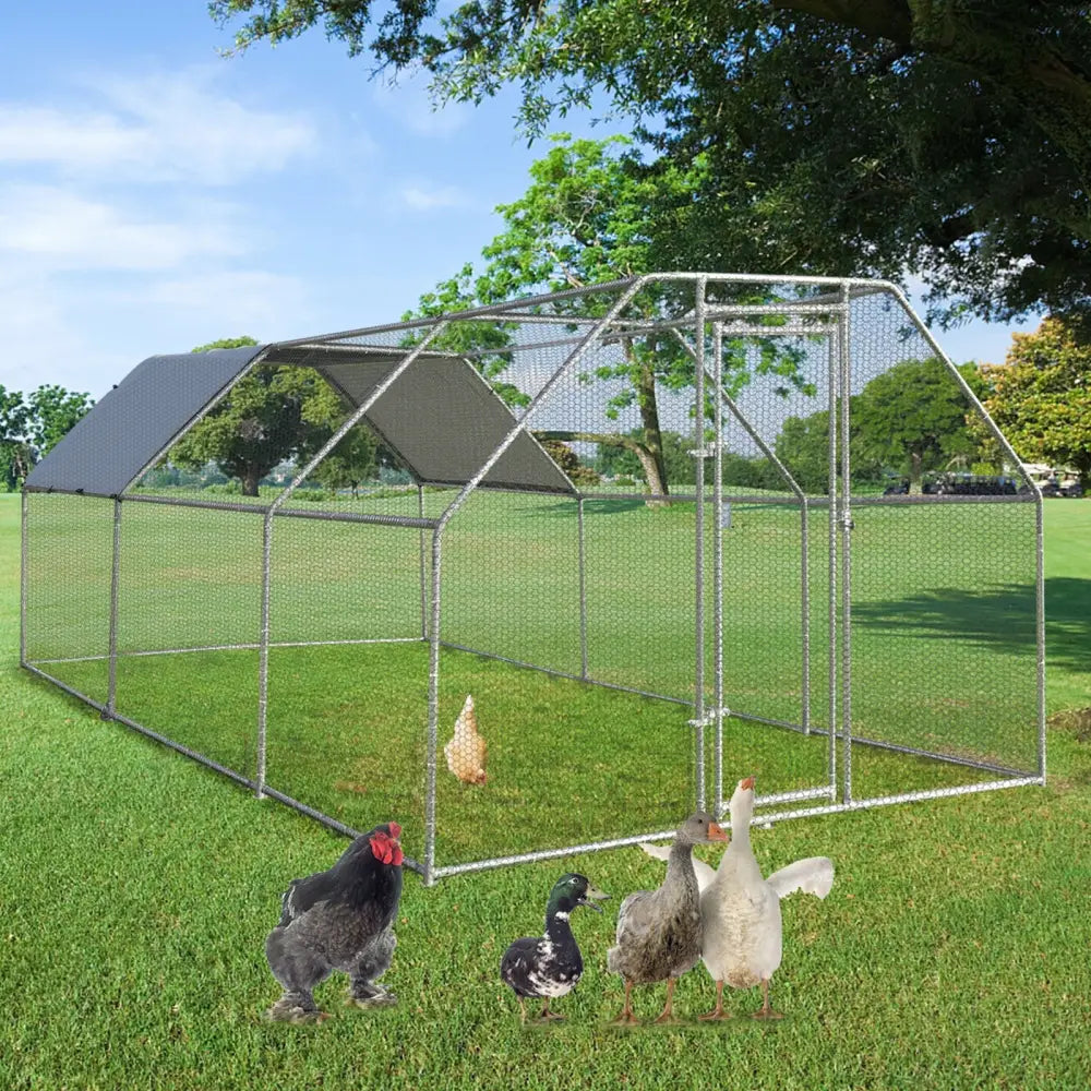 9.5 x 19 Feet Large Walk In Chicken Coop - Silver - Chicken Coops