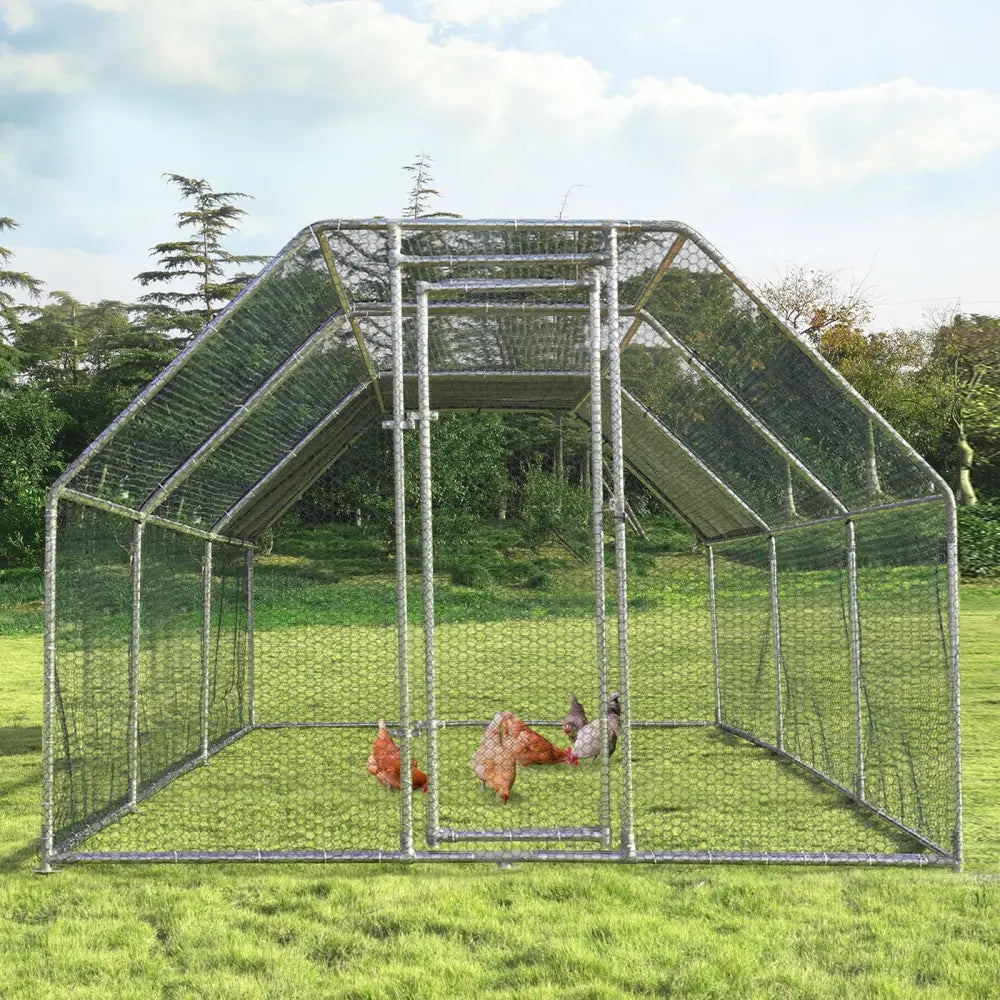 9.5 x 19 Feet Large Walk In Chicken Coop - Silver - Chicken Coops