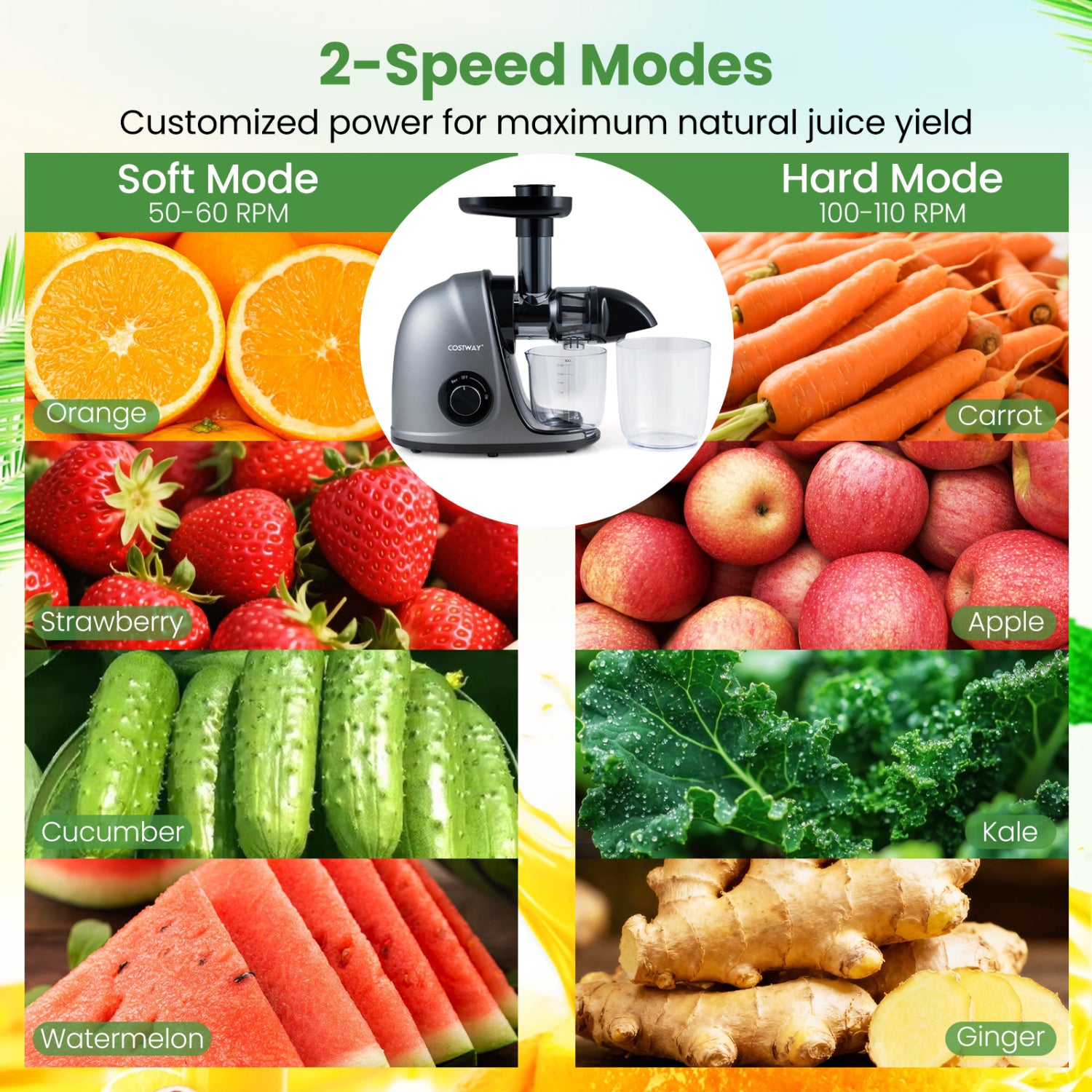 Cold Press Juicer Machine with 95% High Yield and 2-Speed Modes-Sliver
