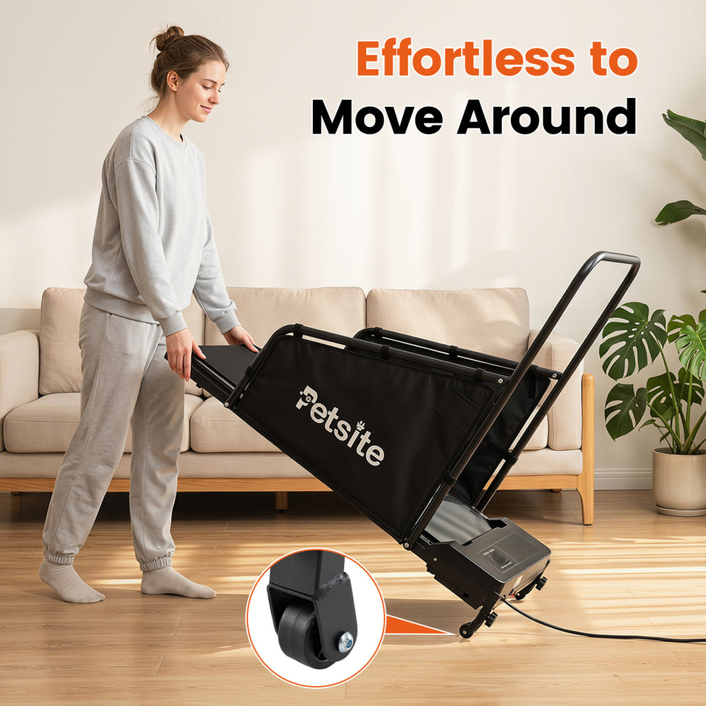 Dog Treadmill with Remote Control and LCD Display for Small Medium Dogs-Black