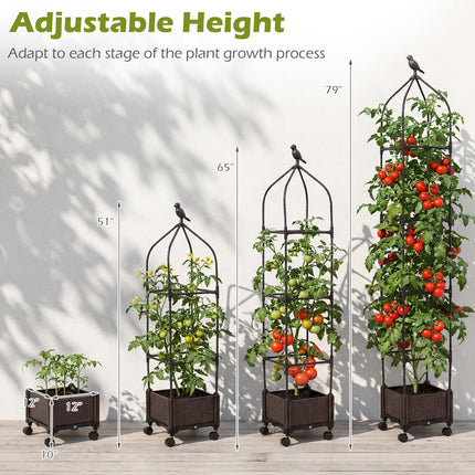 Indoor Outdoor Raised Garden Bed with Trellis and Self-Drainage and Wheels-Black