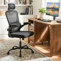 Mesh Office Chair with Adaptive Lumbar Support  Flip-up Armrests  Reclining Backrest-Black