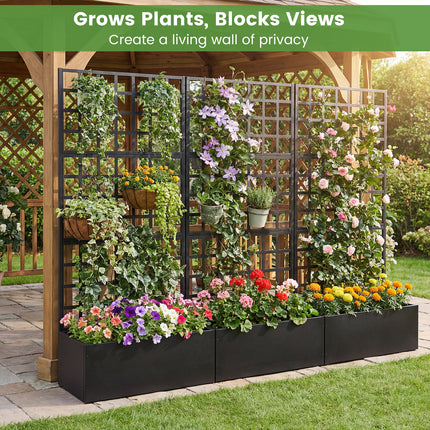Metal Raised Garden Bed with Trellis and Drainage Holes for Climbing Plants-Black