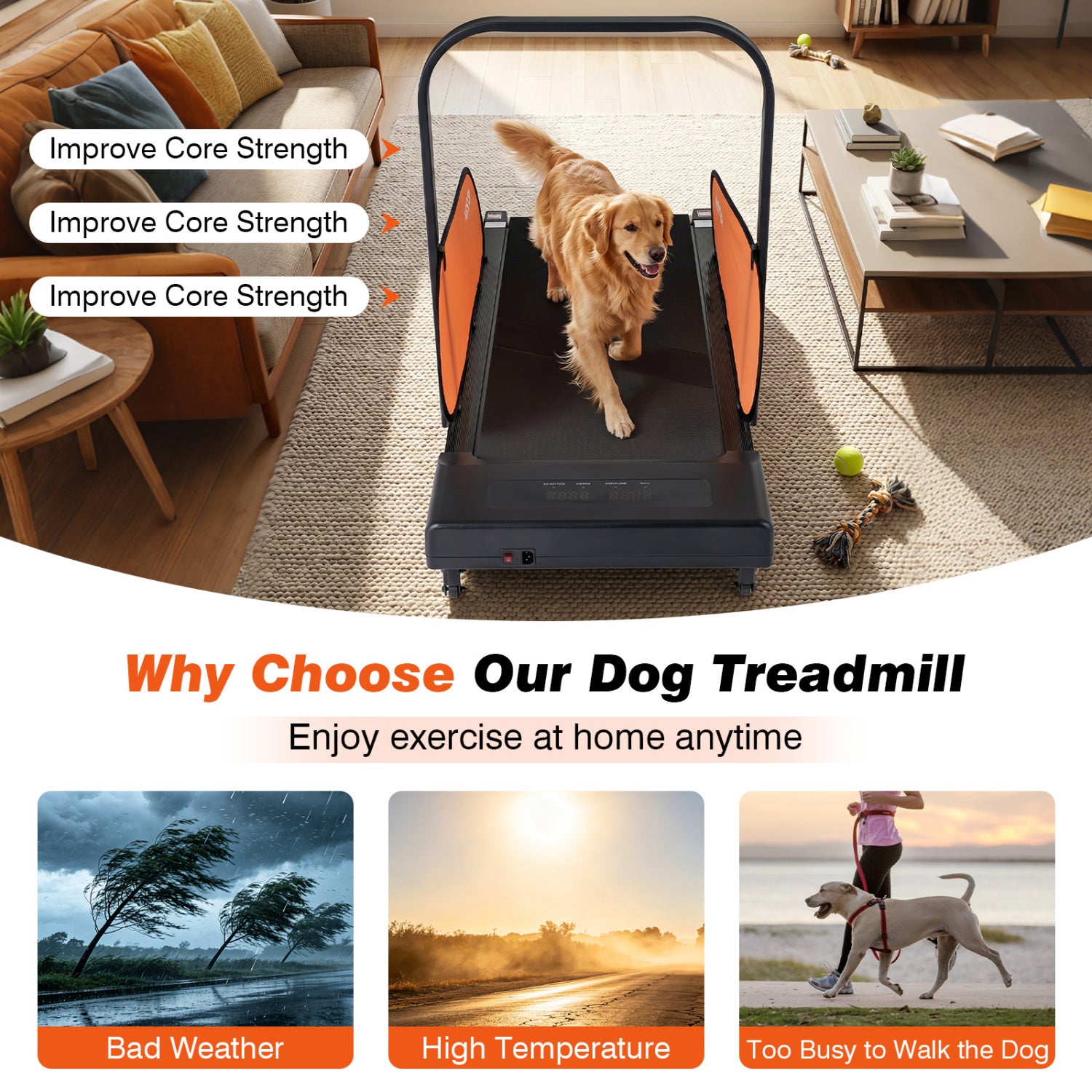 Pet Treadmill for Small & Medium Dogs with LED Display and Adjustable Speed-Black