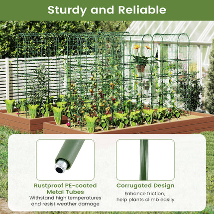 Self-watering Raised Garden Bed Elevated Planter with Climbing Trellis-Black