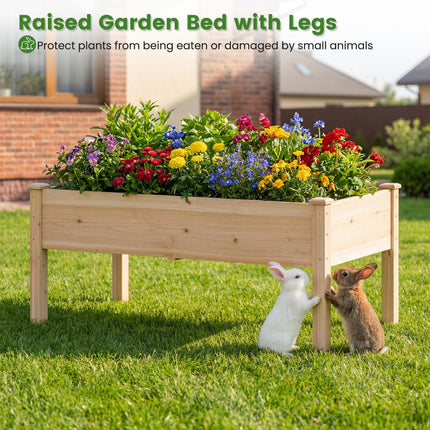 Set of 1 Wooden Raised Garden Bed with Legs Natural Fir Wood Elevated Planter Box