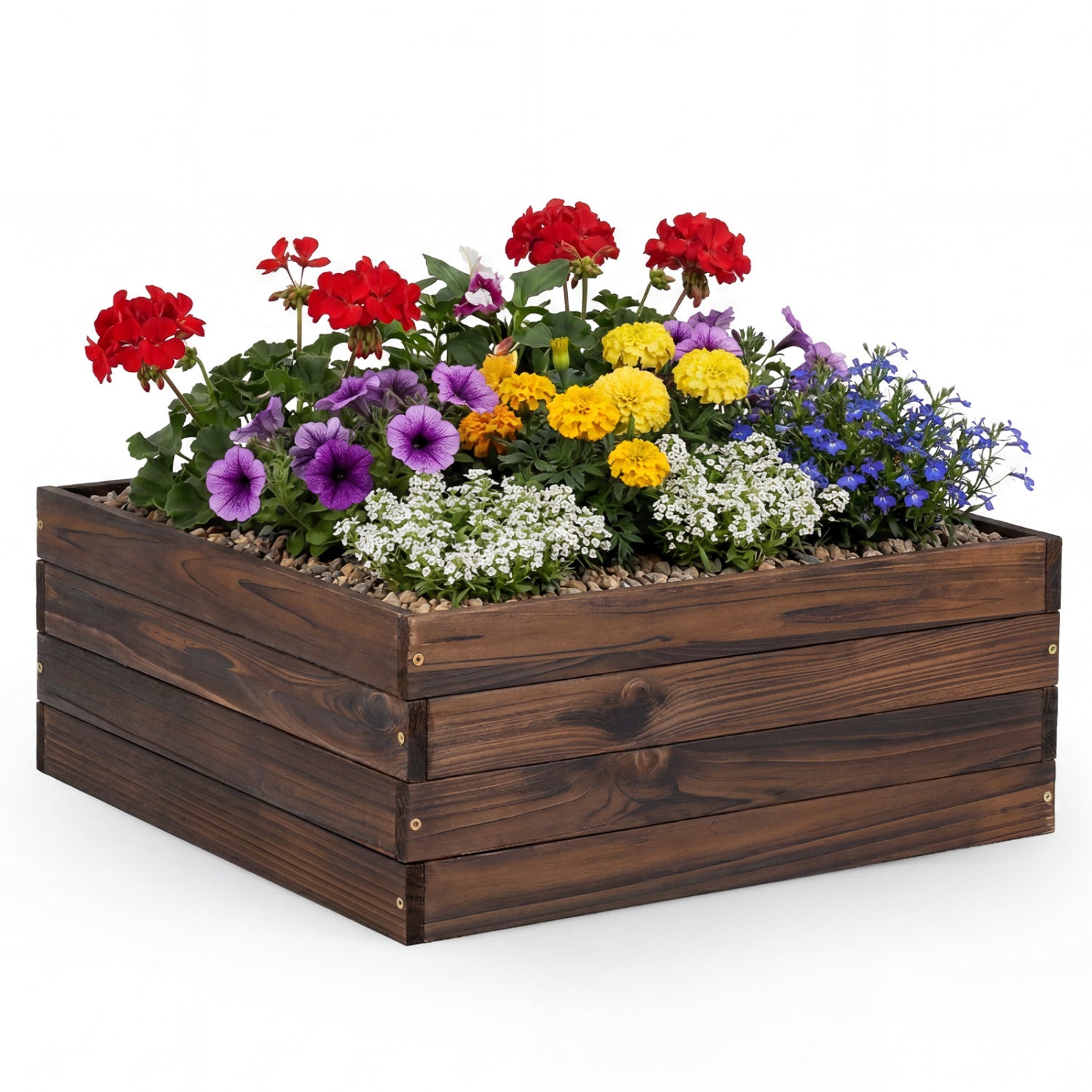 Jardinière surélevée carrée pour légumes, fleurs et semis