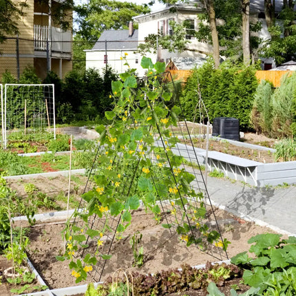 A-Frame Garden Trellis for Climbing Plant with Ground Stake and Cable Tie-Green - Green - Plant Supports