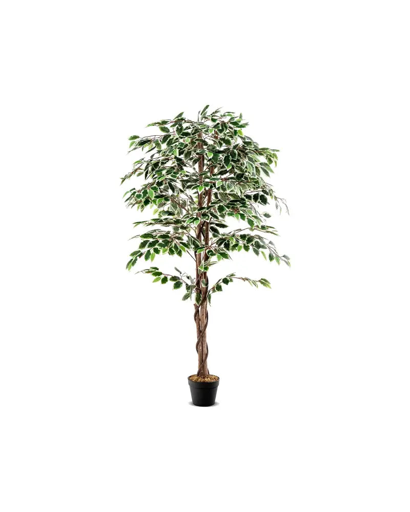 Artificial Ficus Tree Tall Faux Indoor Plant with 1008 Leaves Nursery Pot and Dried Moss - Green - Faux Plants