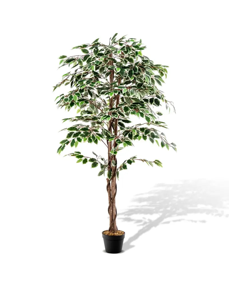Artificial Ficus Tree Tall Faux Indoor Plant with 1008 Leaves Nursery Pot and Dried Moss - Green - Faux Plants