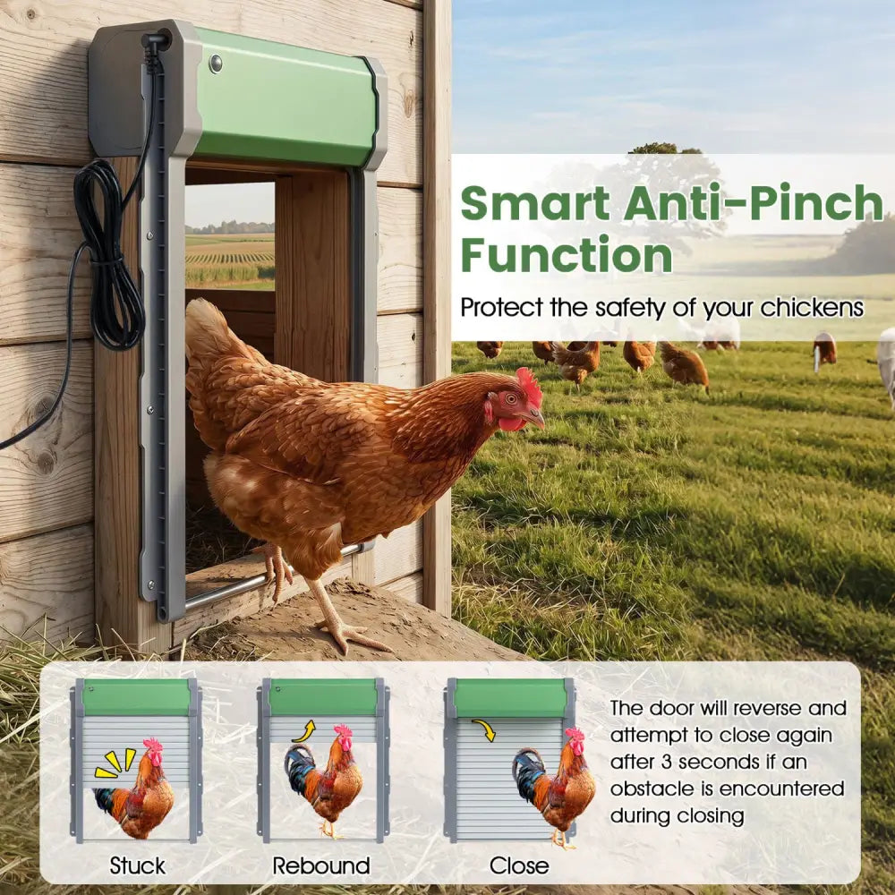 Automatic Chicken Coop Door with Remote Control and Light Sensor Timer - Chicken Coops