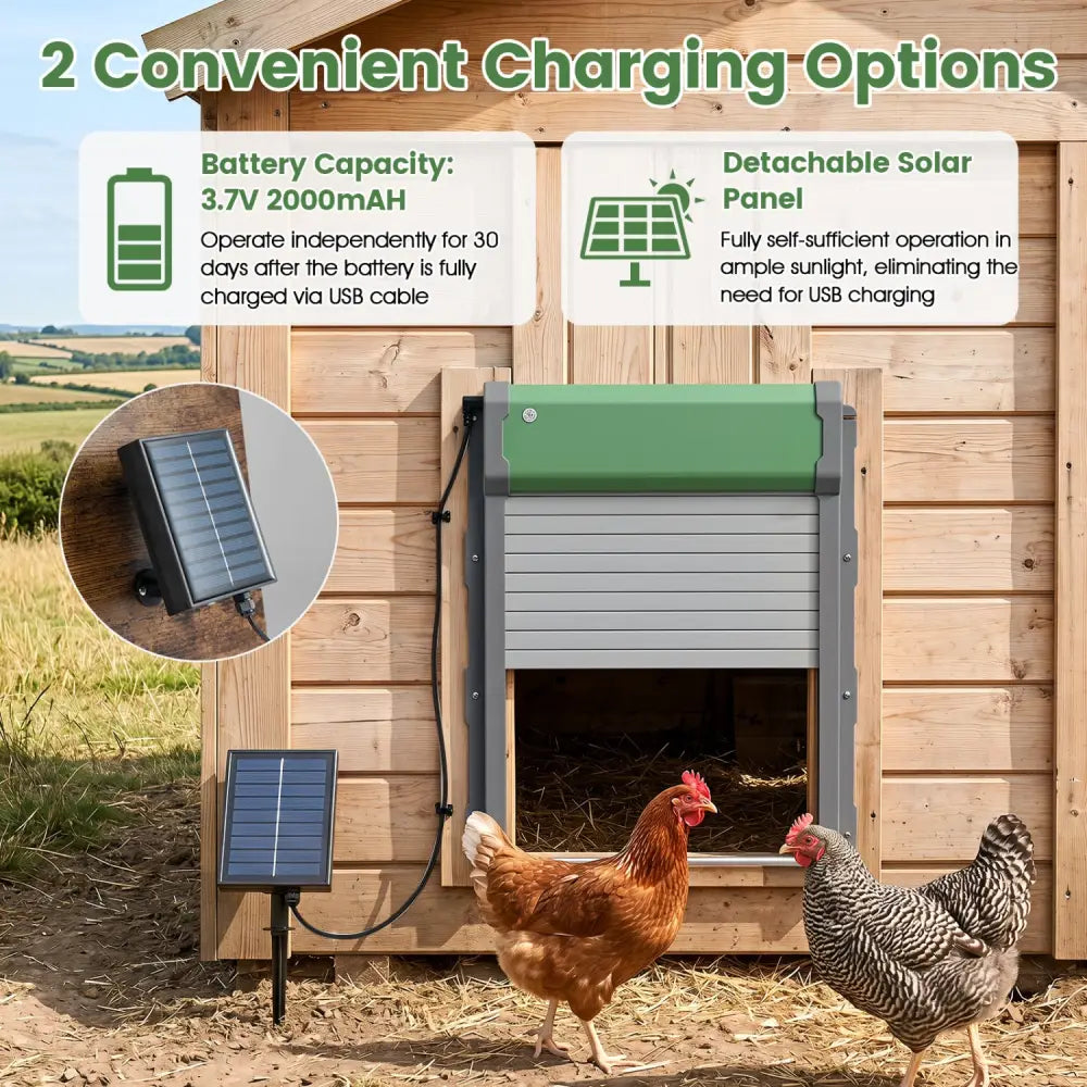 Automatic Chicken Coop Door with Remote Control and Light Sensor Timer - Chicken Coops