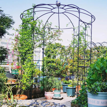 Birdcage Shape Gazebo for Climbing Plants and Wedding Ceremony Decoration - Outdoor Decor