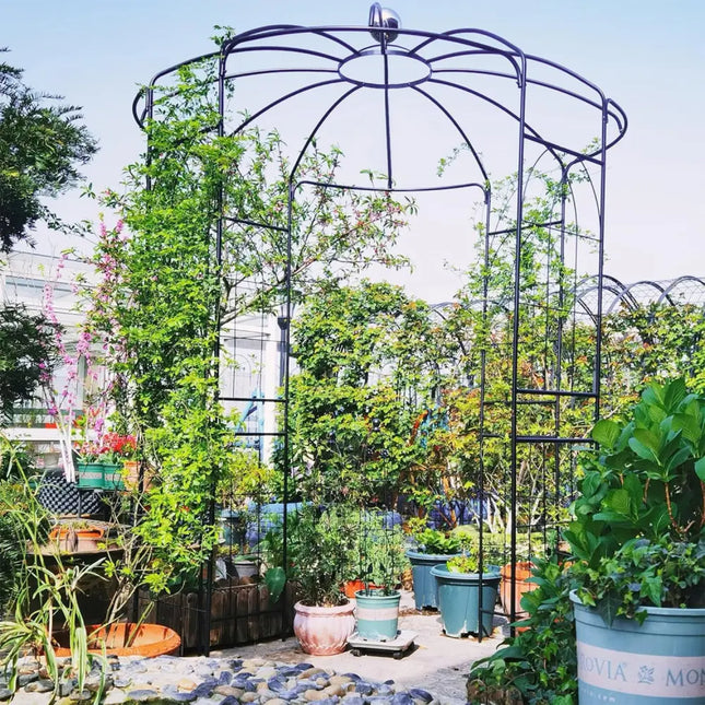 Birdcage Shape Gazebo for Climbing Plants and Wedding Ceremony Decoration - Outdoor Decor