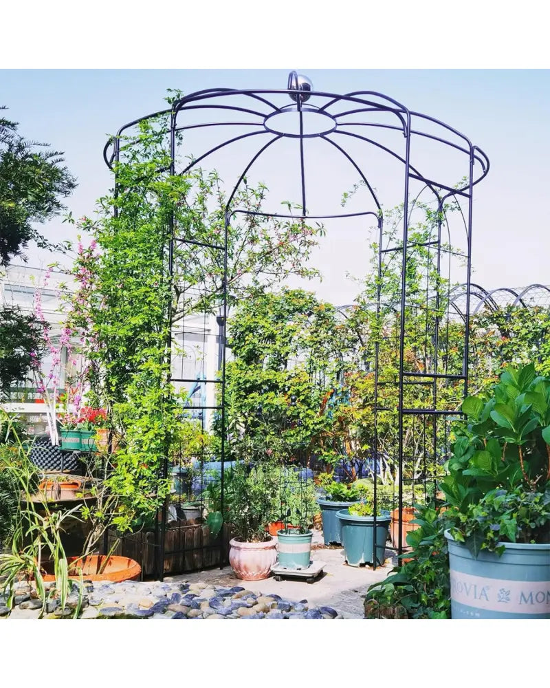 Birdcage Shape Gazebo for Climbing Plants and Wedding Ceremony Decoration - Garden Arbors
