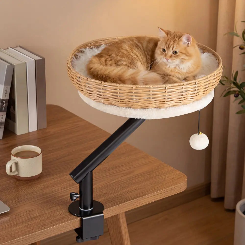 Cat Desk Bed with Removable Padded Cushion for Indoor Cats-Natural - Natural - Cat Houses