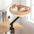 Cat Desk Bed with Removable Padded Cushion for Indoor Cats-Natural - Natural - Cat Houses