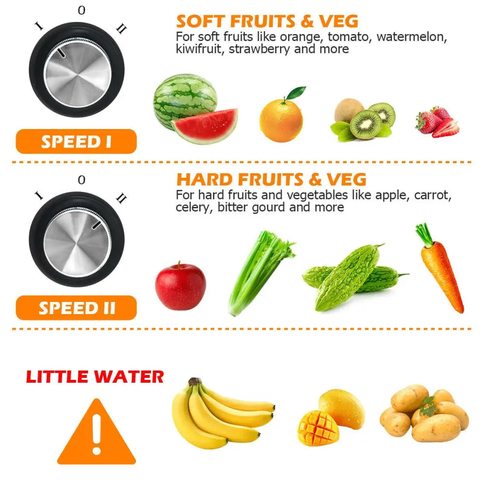 Centrifugal Juicer Machine Juicer Extractor Dual Speed - Silver - Juicers & Coffee Machines