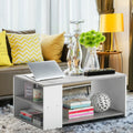 Coffee Table Sofa Side Table with Storage Shelves-Gray - Gray - Coffee Tables