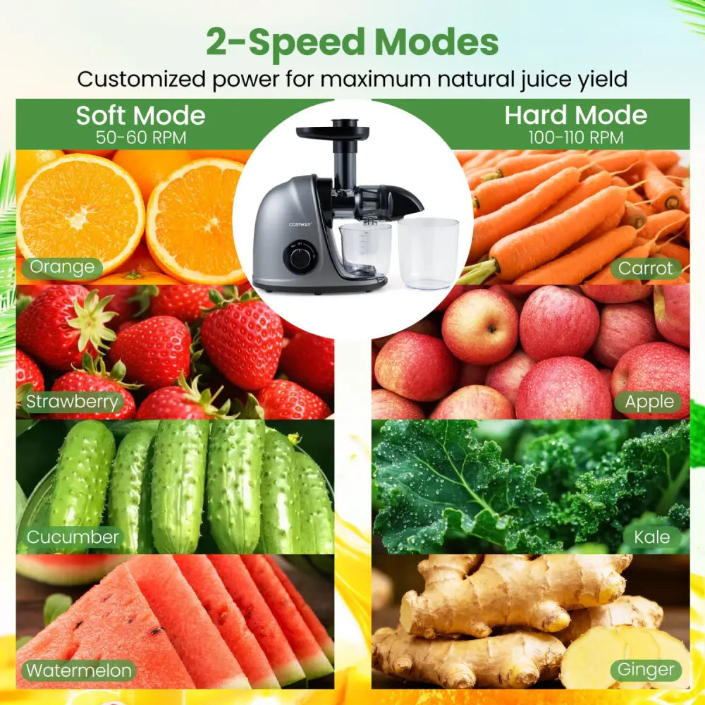 Cold Press Juicer Machine with 95% High Yield and 2-Speed Modes-Sliver - Silver - Juicers & Coffee Machines