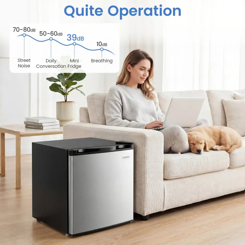 Compact Mini Fridge with 7-Level Adjustable Thermostat-Silver - Silver - Refrigerators