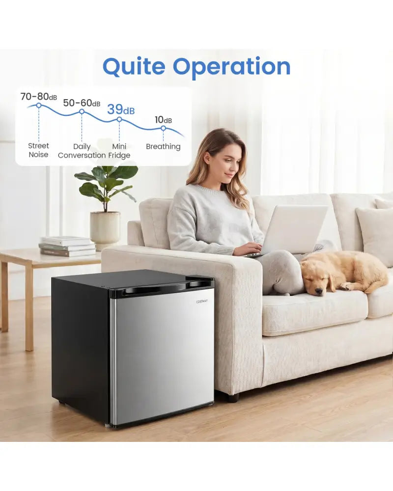 Compact Mini Fridge with 7-Level Adjustable Thermostat-Silver - Silver - Refrigerators