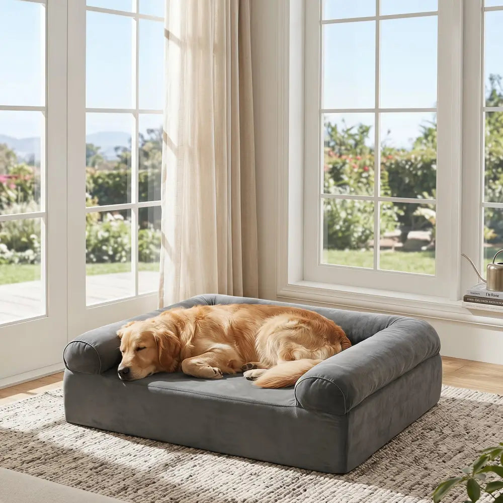Cooling Gel Memory Foam Dog Bed for Medium Dogs with Washable Cover-Dark Gray - Dark Gray - Dog Supplies