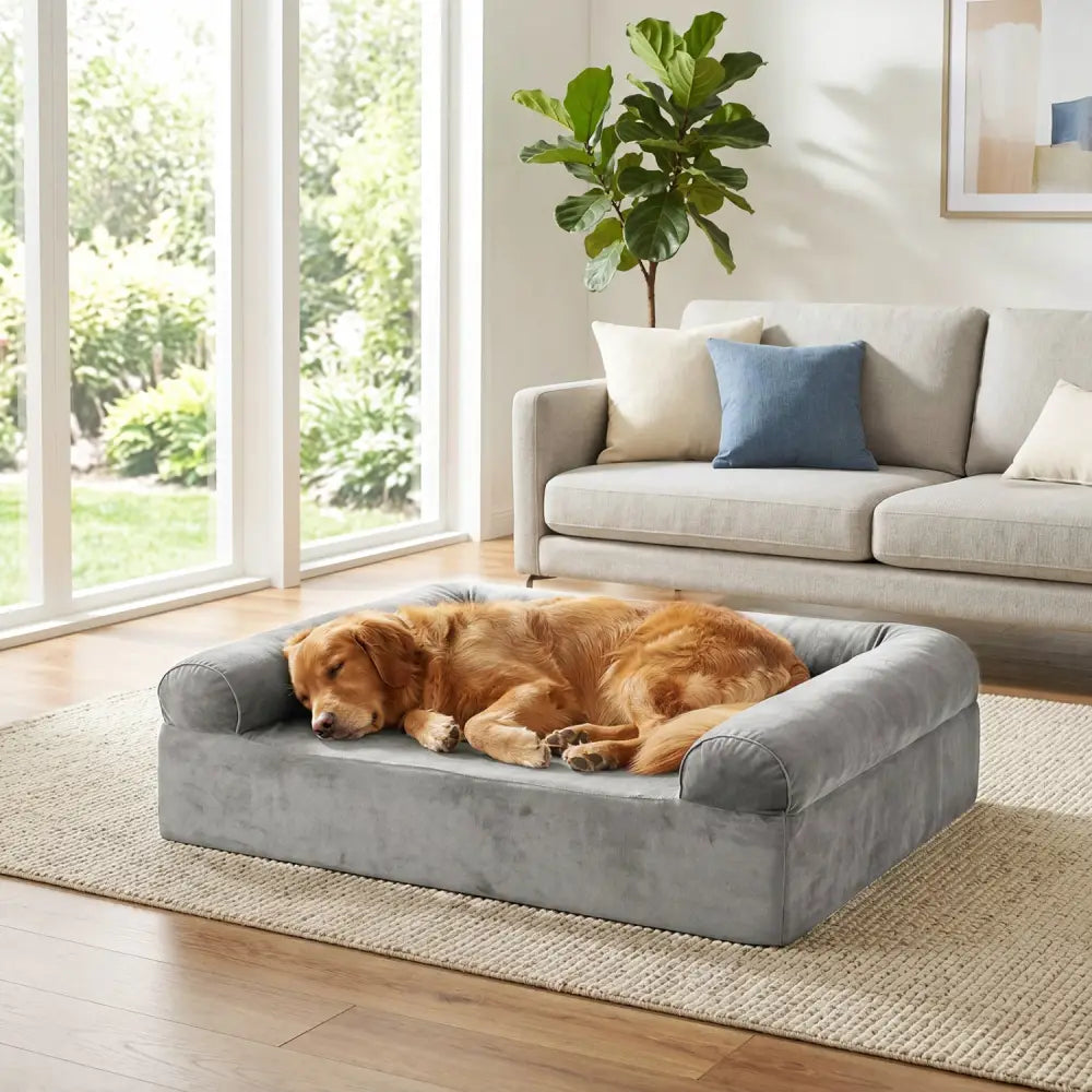 Cooling Gel Memory Foam Dog Bed for Medium Dogs with Washable Cover-Light Gray - Light Gray - Dog Supplies