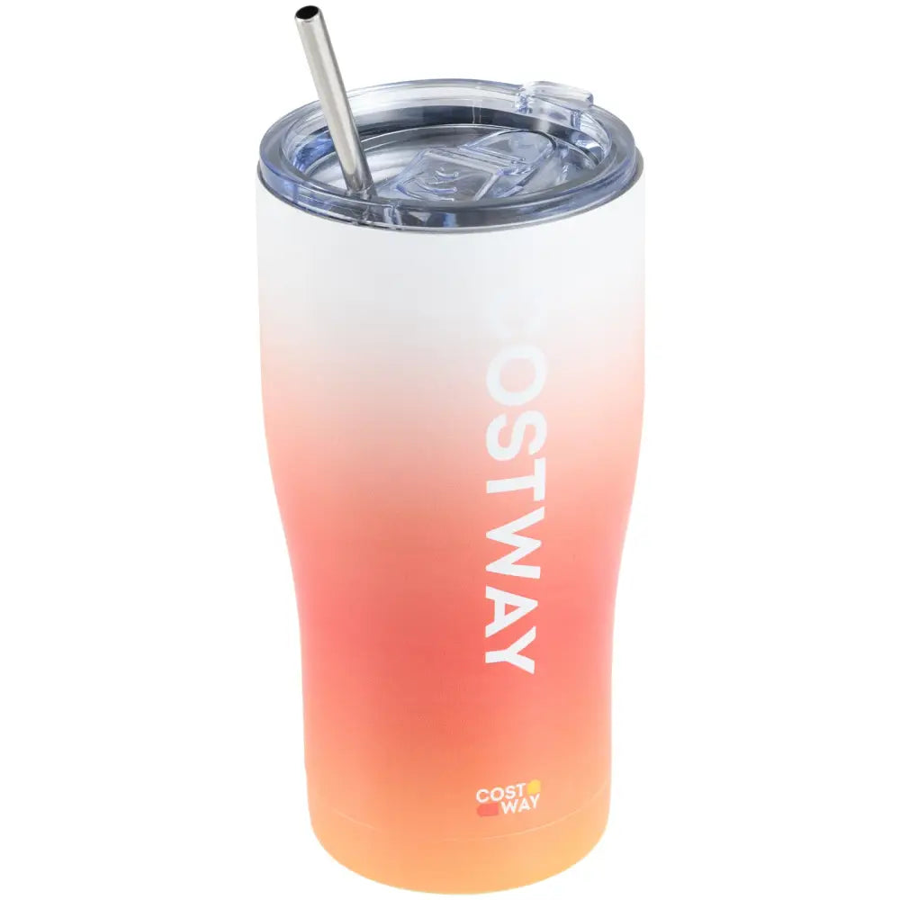 Costway Tainless Steel Tumbler with Lid and Metal Straw - Kitchen Utensils