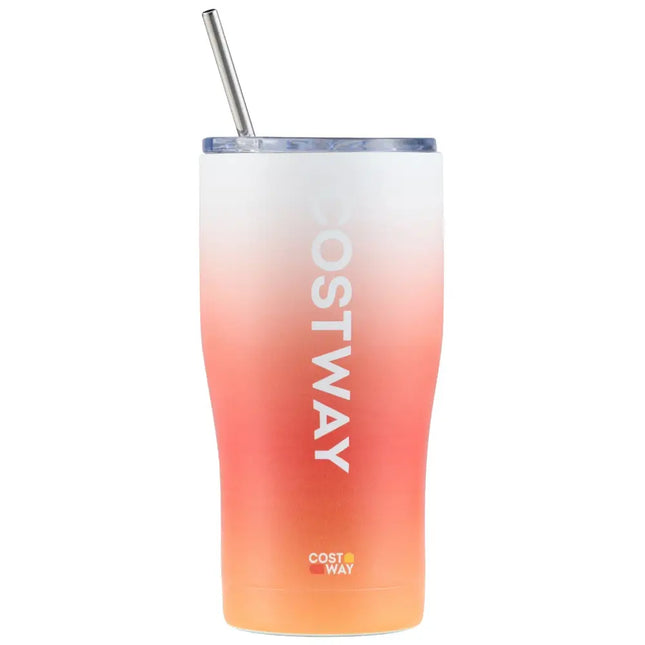 Costway Tainless Steel Tumbler with Lid and Metal Straw - Kitchen Utensils