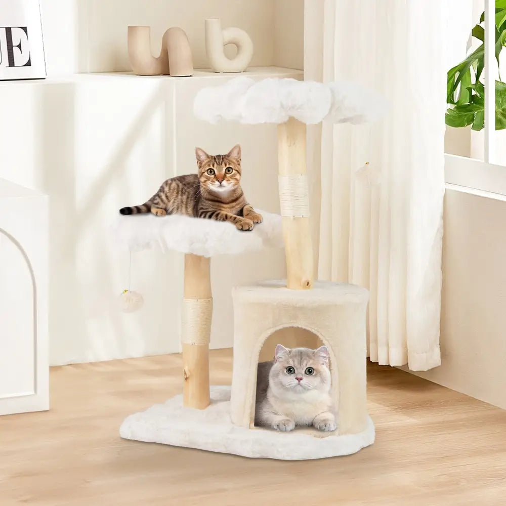 Cute Solid Wood Cat Tree Natural Branch Modern Flower Cat Tower with Sisal Scratching Posts-Beige - Beige - Cat Trees