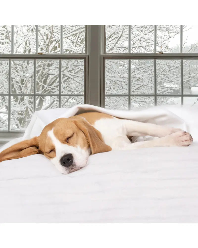 Digital Auto Overheat Protection Massage Table Warmer - Mattresses