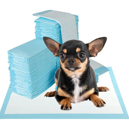 Dog and Puppy Pee Pads 18’’ x 13’’ (300 Counts) for Potty Training-Blue - Blue - Dog Supplies