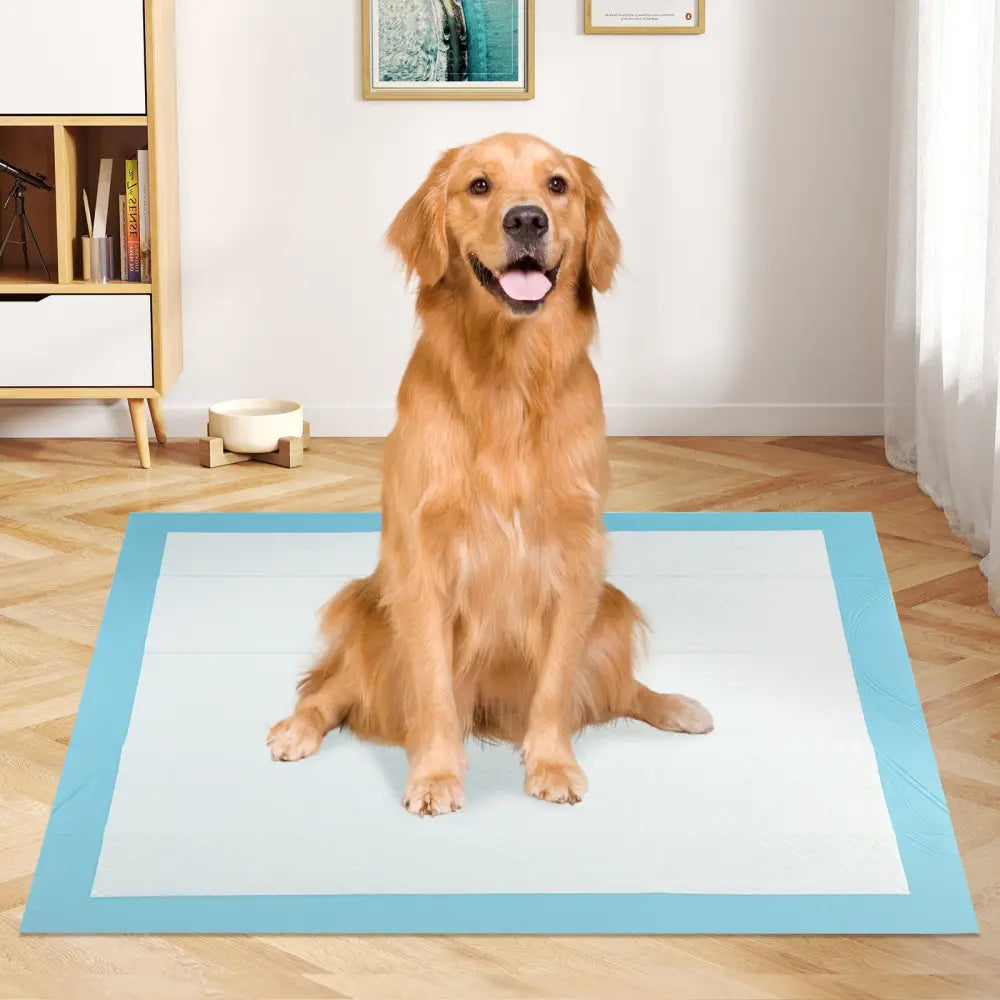 Dog and Puppy Pee Pads 36’’ x 36’’ (100 Counts) for Potty Training-Blue - Blue - Dog Supplies
